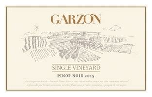 Garz N Single Vineyard Pinot Noir Uruguay Rating And Review