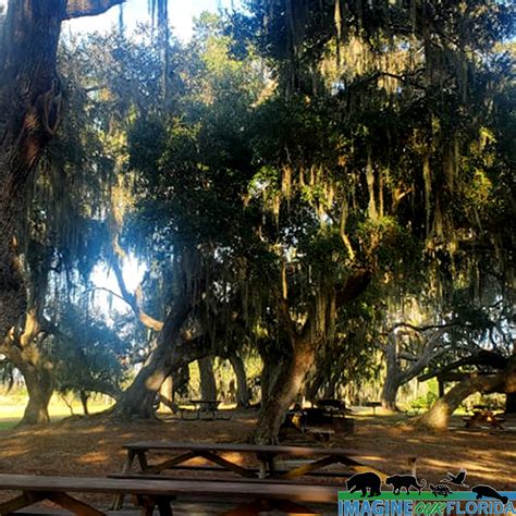 Lake Istokpoga Park – Imagine Our Florida, Inc