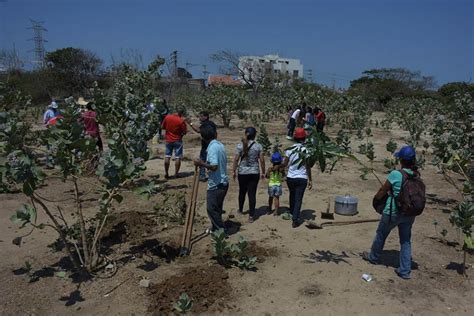 Lectores escriben La cultura ecológica brota en Barranquilla