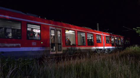 Marder stoppt Zugverkehr und sorgt für über neun Stunden Verspätung