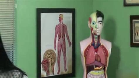 Neck Vagina Porn Videos