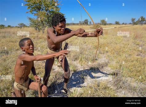 Bushmen Of Ju Hoansi San With Bow And Arrow In Traditional Hunting