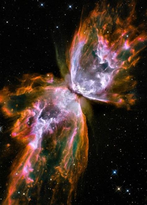 When Kaneki And Touka Had Sex Touka Was Like Kayaotic Universe On Tumblr