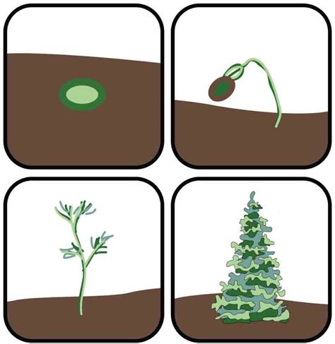 Icons X Cindi Gay Rug Hooking