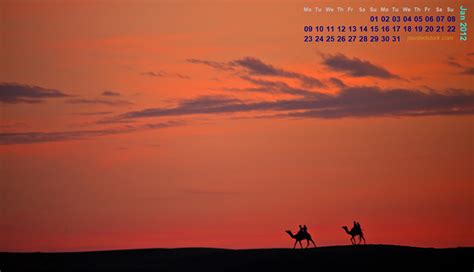 Happy New Year + January 2011 Desktop Calendar Wallpaper – Musings of a ...