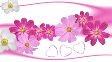 Hearts And Flowers Wallpapers Top Free Hearts And Flowers Backgrounds