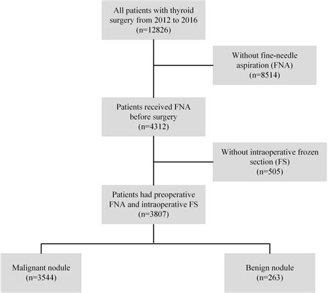 Frontiers Combined Fine Needle Aspiration And Selective Intraoperative Frozen Section To