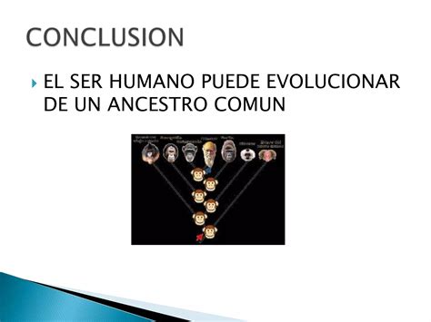 Teoria De Darwin Y Evolucion Ppt