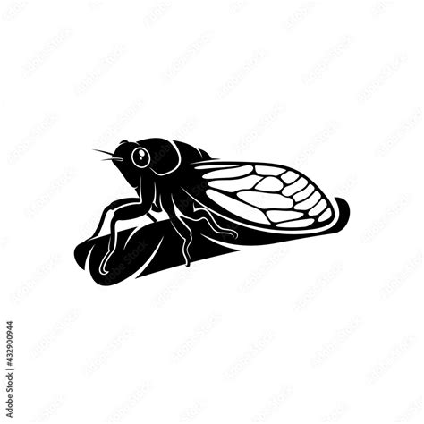 Cicada Design Vector Illustration Creative Cicada Logo Design Concept