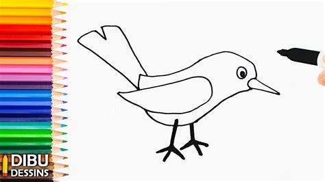 Comment Dessiner Un Oiseau Dessin De Oiseau Tr S Facile Youtube