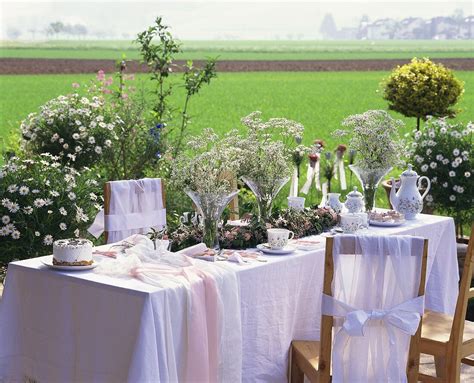 Festlich gedeckte Kaffeetafel im Grünen Bild kaufen 188671 living4media