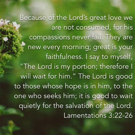 Lamentations 322 26 New International Version Niv Lamentations