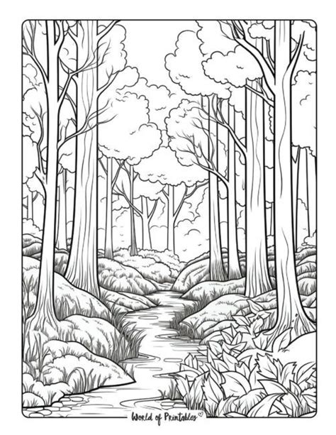 Landscape Coloring Pages Coloring Pages Cool Coloring Pages Jungle