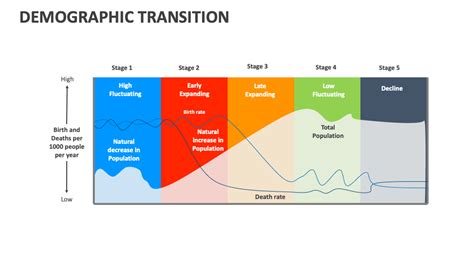 Demographic Transition Template for PowerPoint and Google Slides - PPT ...