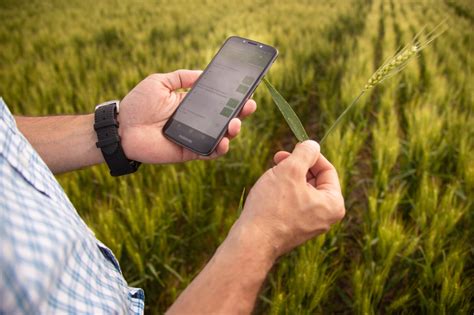 Las Cinco Herramientas Digitales Que Van A Revolucionar La Agricultura