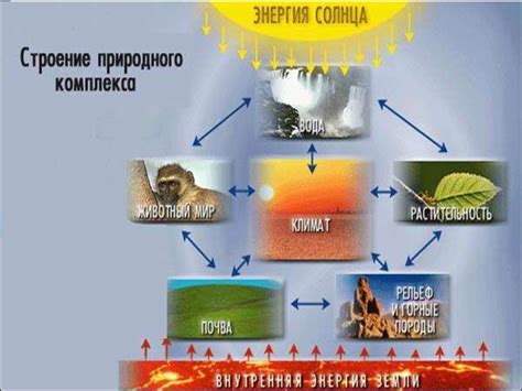 Природные комплексы - презентация онлайн