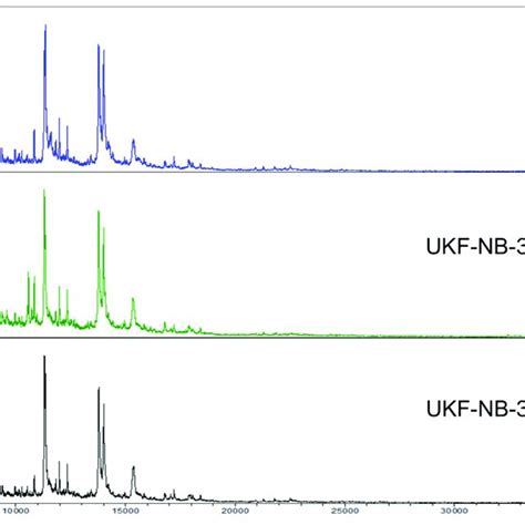 Representative Intact Cell MALDI ToF Mass Spectrometry Analysis Spectra