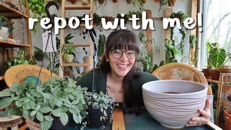 Repot With Me Repotting New Plants Working With Propagations Youtube