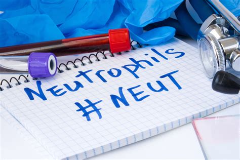 Doctors בדיקת נויטרופילים Neutrophils בדיקות מעבדה המטולוגיה