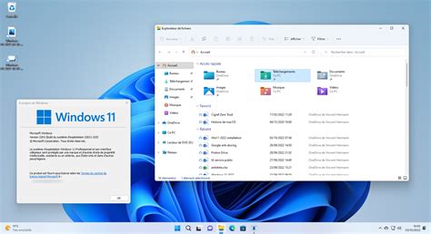 Windows 11 comment installer ou forcer la mise à jour 2022 Next