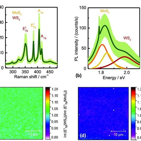 Photocurrent For A Mos Ws Heterobilayer Based Photodetector With A