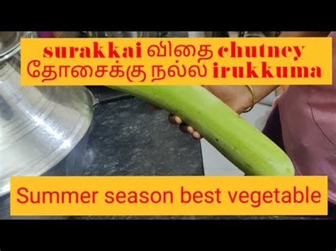 சறககய வத chutney bottle gourd chutney it s benefits Best