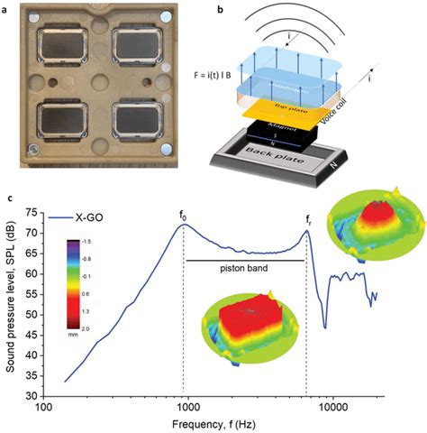 Working Principle Of Microspeakers A Image Of Assembled Go And Xgo