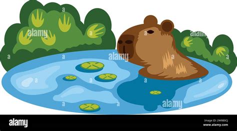 Wetland Scenery Illustration Stock Vector Image And Art Alamy