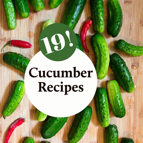 19 Delicious Cucumber Recipes! - Sidewalk Shoes