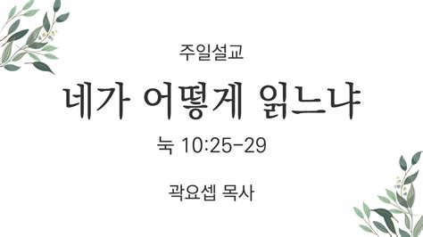 2022년 12월 11일