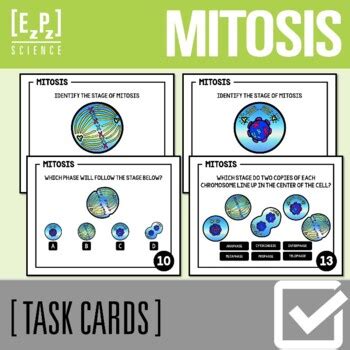 Mitosis Cell Division Science Task Cards Printable And Digital By EzPz