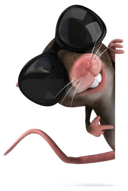 Tooth Mouse Stock Photos, Pictures & Royalty-Free Images - iStock