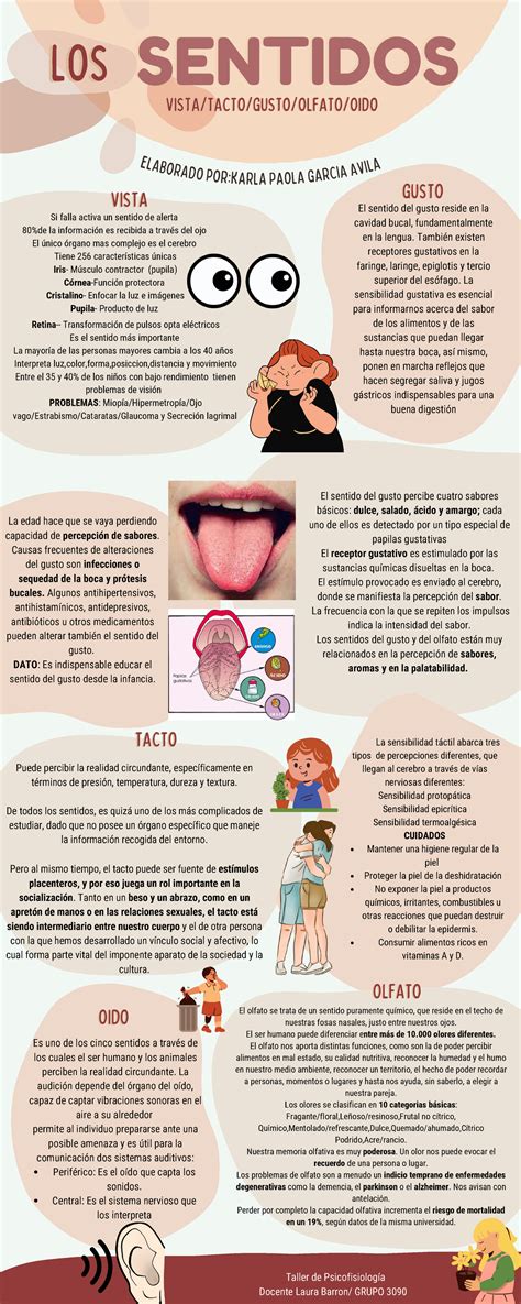 Infografía de los Sentidos - OIDOOIDO VISTA/TACTO/GUSTO/OLFATO