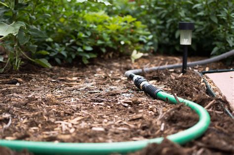 How to Make a Soaker Hose Out of an Old Garden Hose