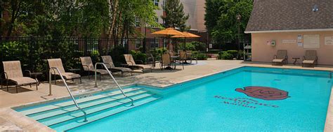 Pet Friendly Hotels Near Chicago O Hare Airport - NEARSH