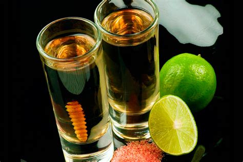 Conoce La Feria Del Mezcal Y Pulque En Atlixco Enlace Noticias