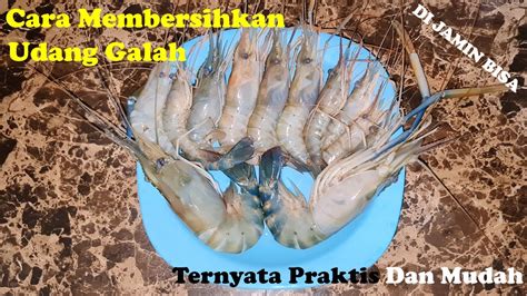 Cara Membersihkan Udang Galah Yang Praktis Youtube