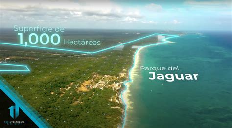 Realizan Parque Nacional Del Jaguar En Tulum Top Investments