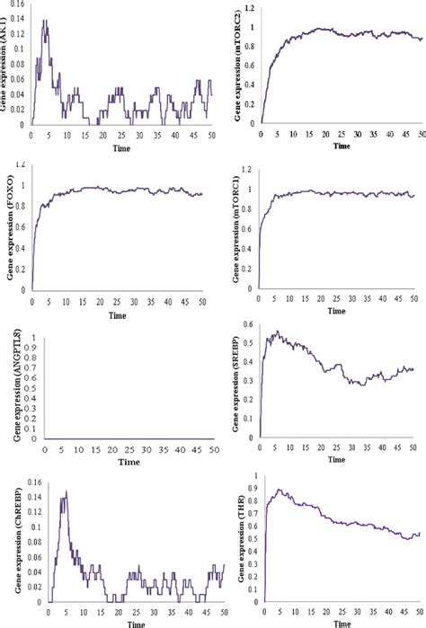 Gene Expressions Of All Entities Of The Petri Net Model Of Angptl