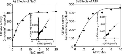 Effects Of Nacl A And Atp B On Atpase Activity In Inverted