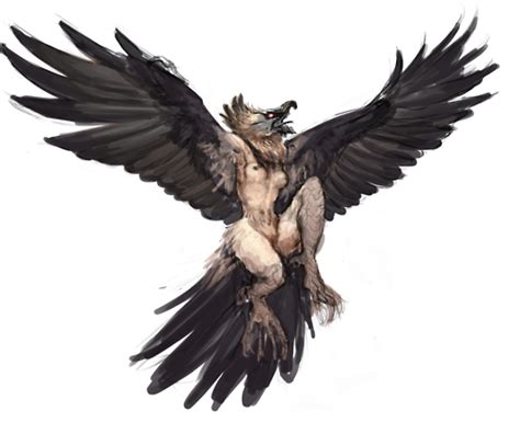 The Kikiyaon Is A Supposed Owl Like Cryptid From Africa Fantasy