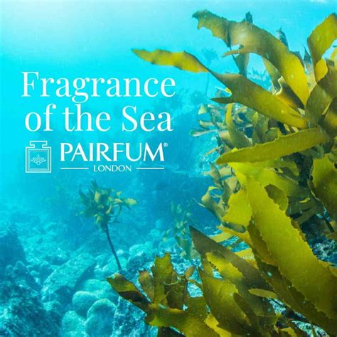 The Secret Smell Of The Seaside And Sex On The Beach