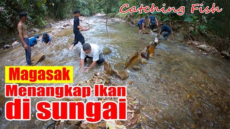 Magasak Catching Fish Aktiviti Pulang Ke Kampung Dan Menangkap Ikan