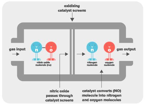 Enzyme Structure And Function