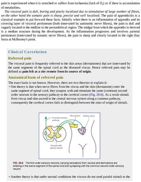 Vishram Singh Textbook Of Clinical Neuroanatomy Pain Is