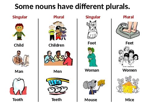 Singular And Plural Nouns