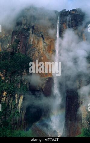 ANGEL FALLS (height 990m) World's tallest single drop falls Canaima NP ...