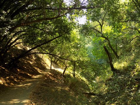 Rancho San Antonio Open Space Preserve - Lonely Hiker