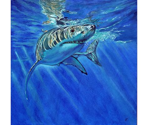 Shark Ocean Animal Painting Underwater Life Original Art Oil on Canvas ...