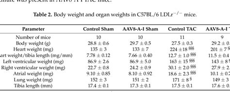 Body Weight And Organ Weights In C57bl6 Ldlr −− Mice Download Table